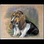Basset.JPG