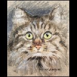 Katze.JPG