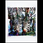 Zebras2.JPG