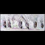 Zebras4.JPG