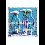 Flamingos.JPG